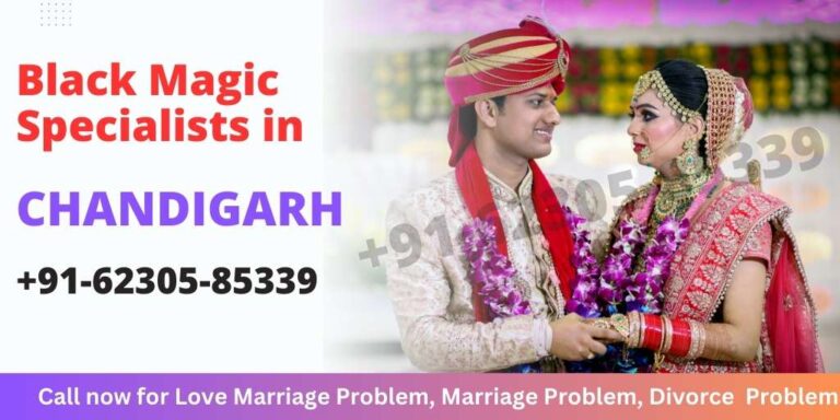 Read more about the article +91-62305-85339 Vashikaran specialists in Chandigarh